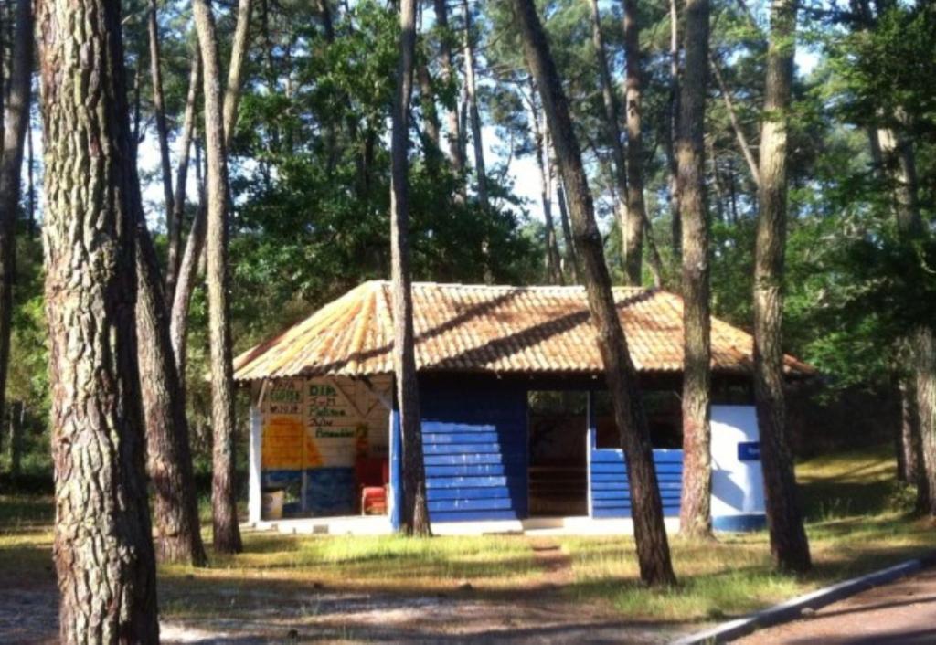 Océan Vacances - Camping Paradis Saint-Georges-de-Didonne Esterno foto